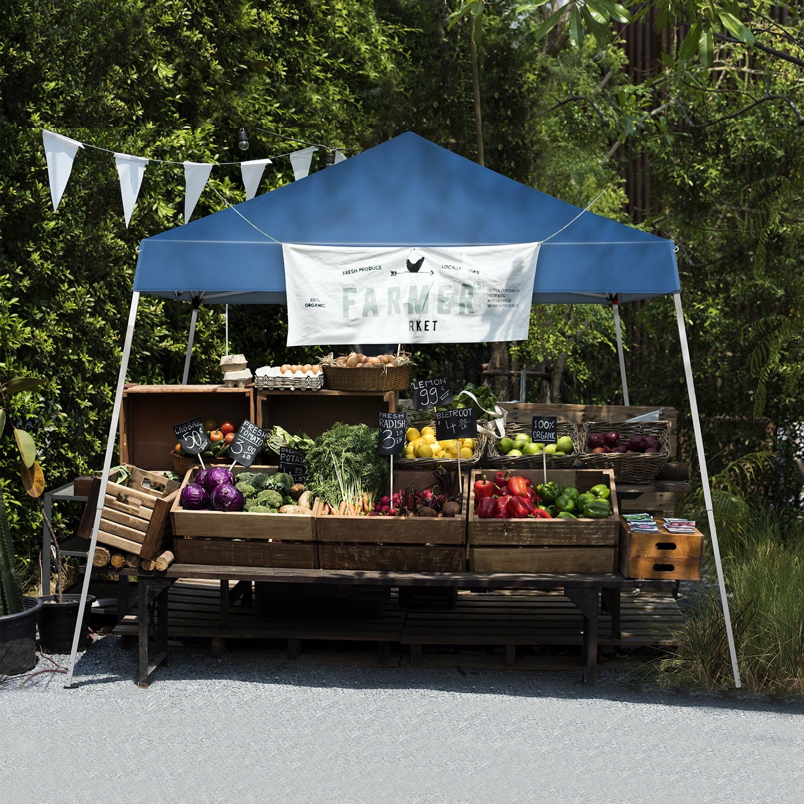 Ktaxon 10ft x 10ft Ez Pop Up Canopy Tent,Outdoor Sun Shade Shelter,Beach Tent,Outdoor Gazebo for Party Wedding Camping BBQ Events,Blue