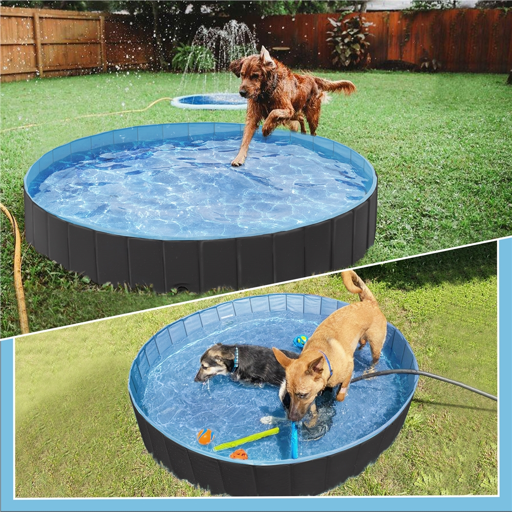 Alden Design 63'' Foldable Pet Swimming Pool for Indoor and Outdoor, Blue